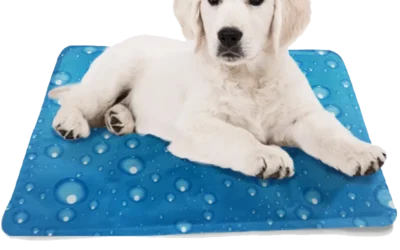 Can You Use Dog Cooling Mats For Humans