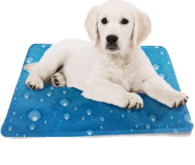 Can You Use Dog Cooling Mats For Humans