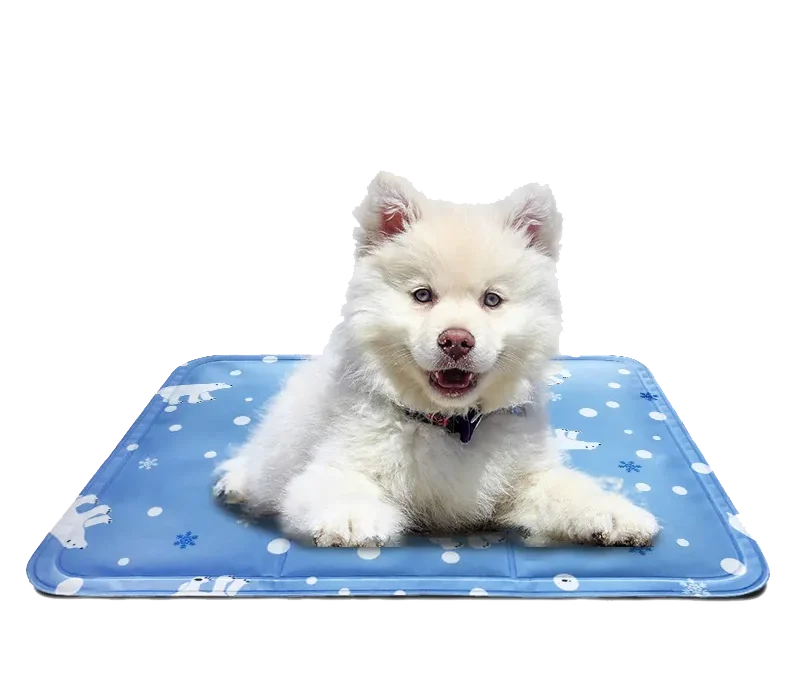 How Do Dog Cooling Mats Work? A Comprehensive Guide For B2B Clients