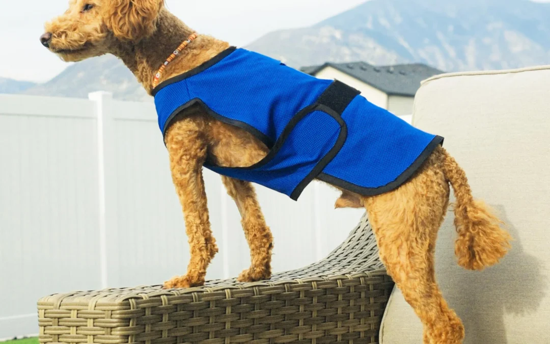 Top 10 Best Dog Cooling Vest Manfuacturer