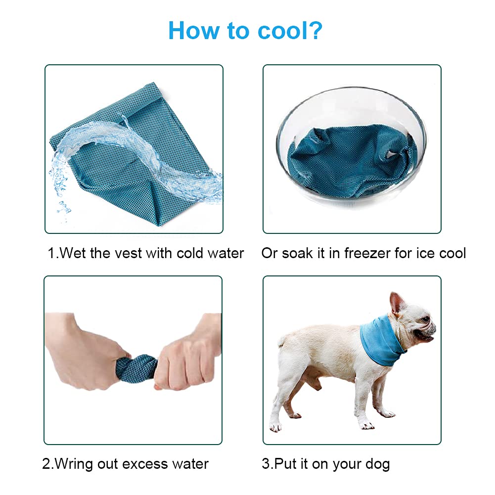 Custom Dog Cooling Collar