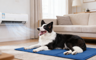 Dog Cooling Mat Leaking: B2B Buyer Faq & Our Anti-Leak Design Solution